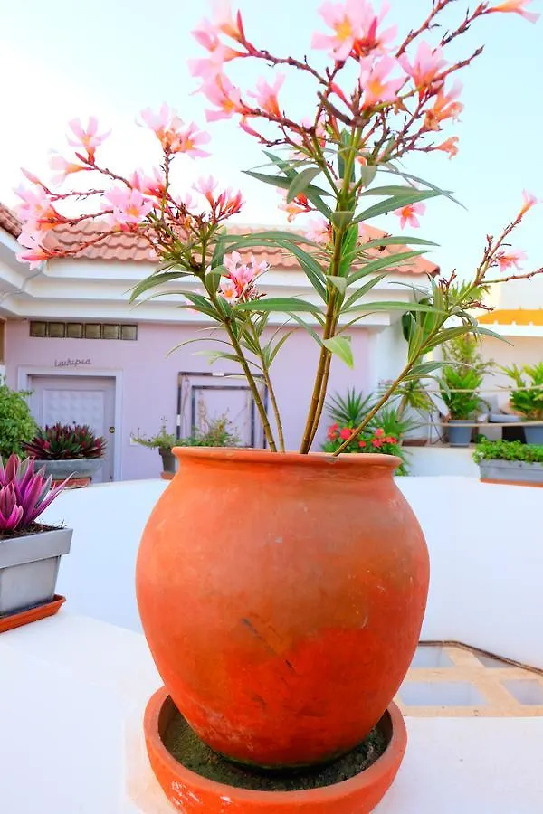 Hotel La Demeure Dakar 0*,